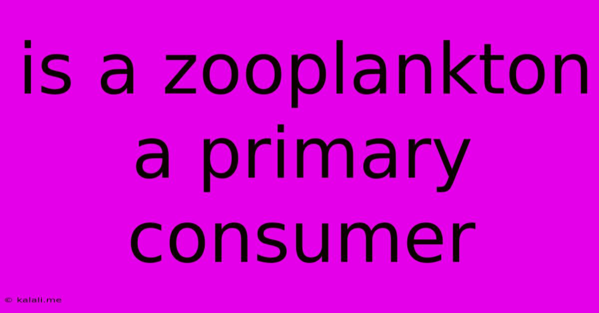 Is A Zooplankton A Primary Consumer