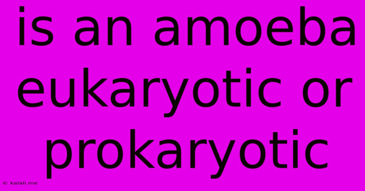 Is An Amoeba Eukaryotic Or Prokaryotic