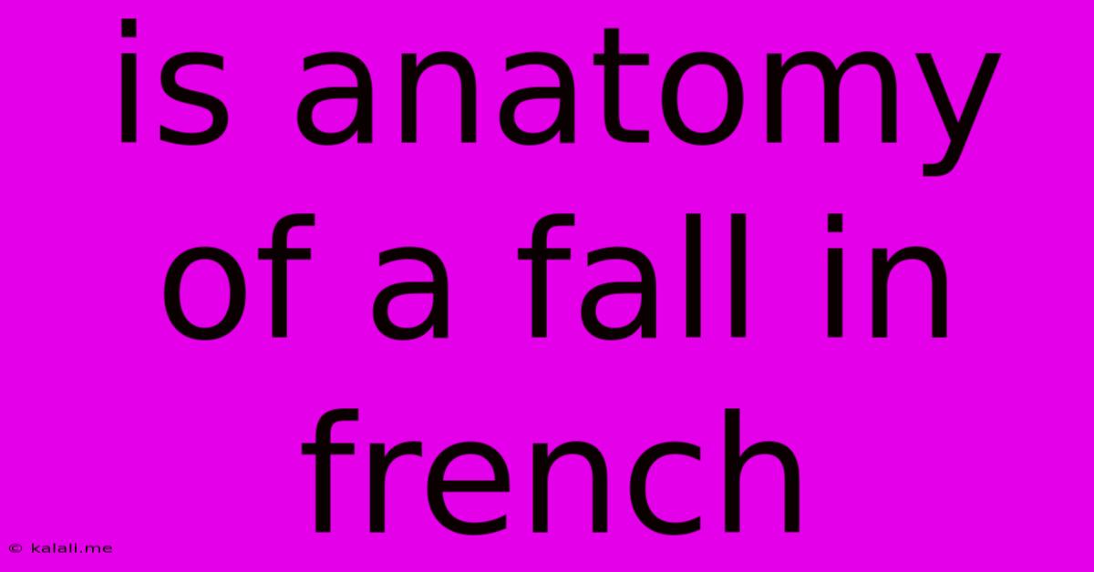 Is Anatomy Of A Fall In French