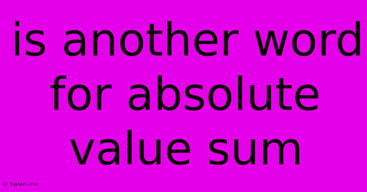 Is Another Word For Absolute Value Sum