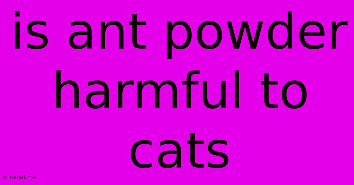 Is Ant Powder Harmful To Cats
