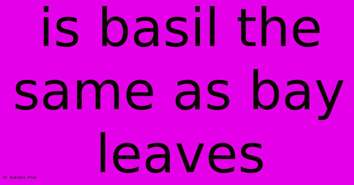 Is Basil The Same As Bay Leaves