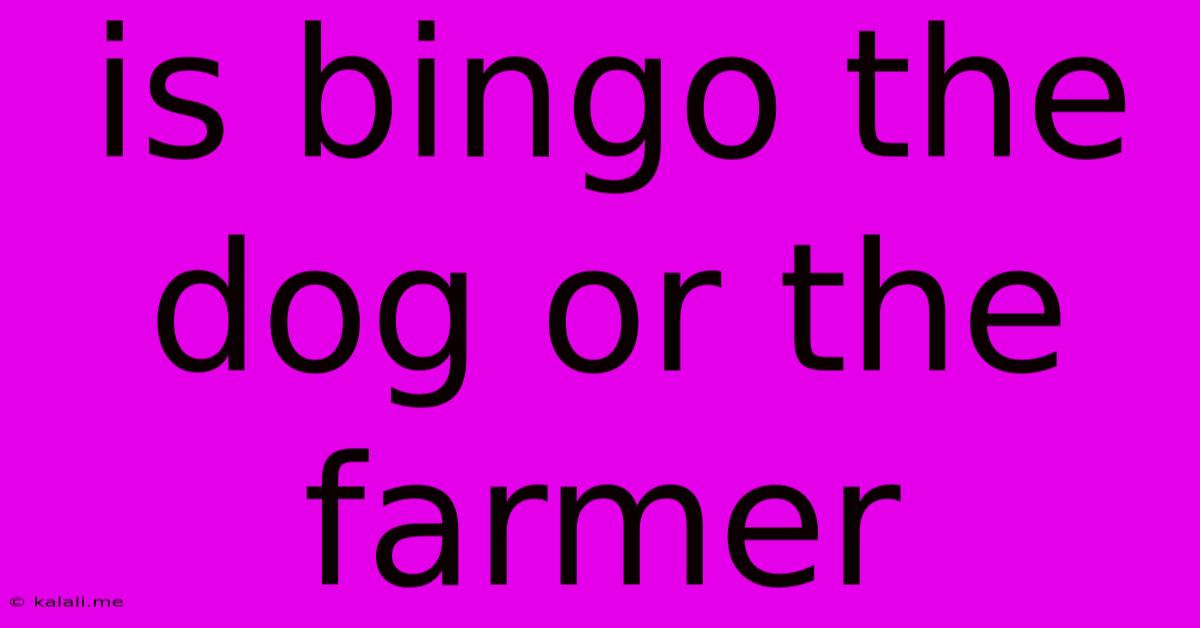 Is Bingo The Dog Or The Farmer