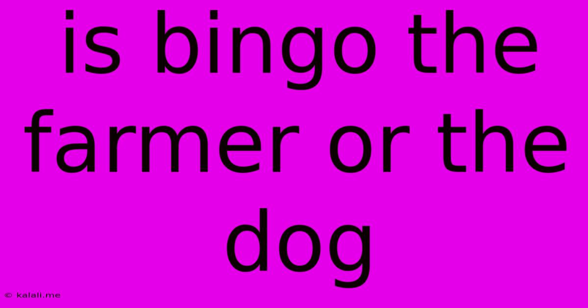 Is Bingo The Farmer Or The Dog