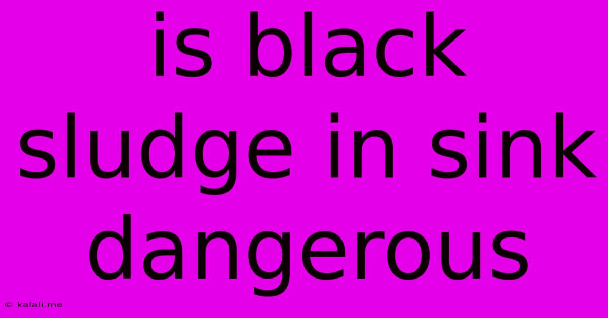 Is Black Sludge In Sink Dangerous
