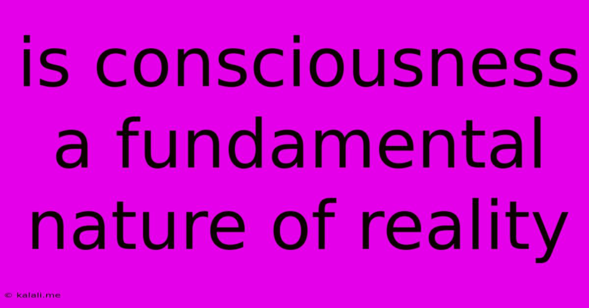 Is Consciousness A Fundamental Nature Of Reality