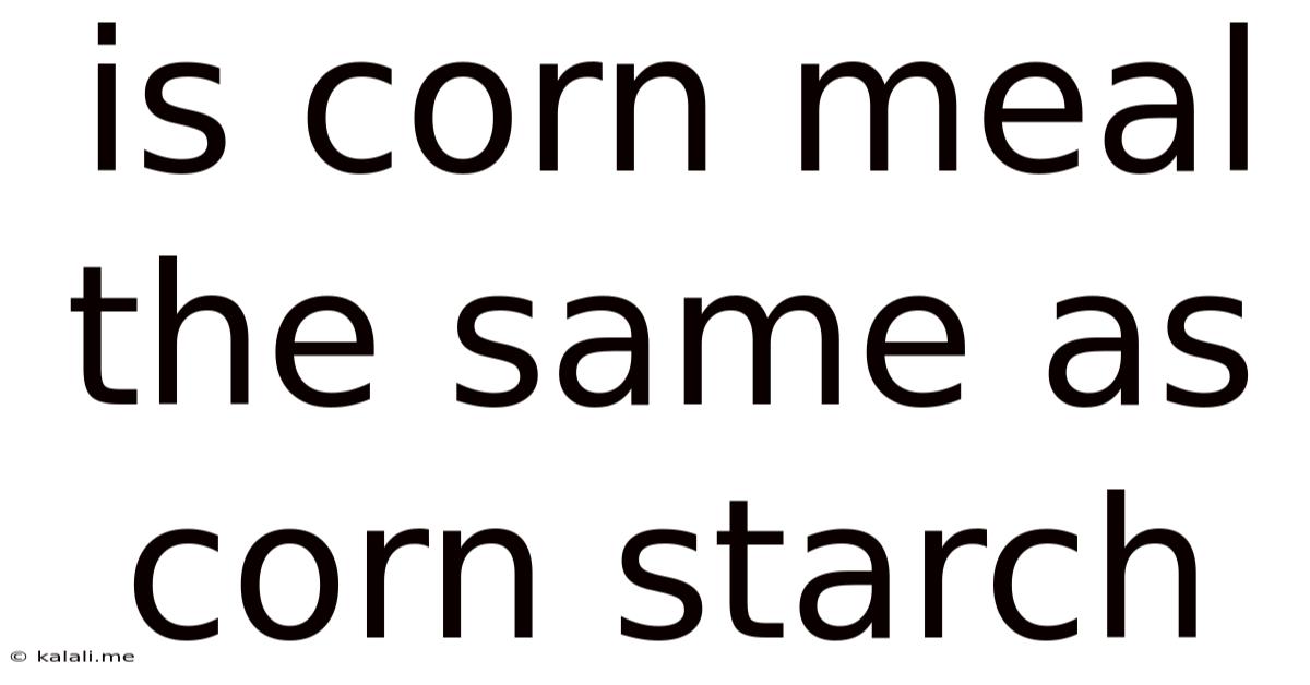 Is Corn Meal The Same As Corn Starch