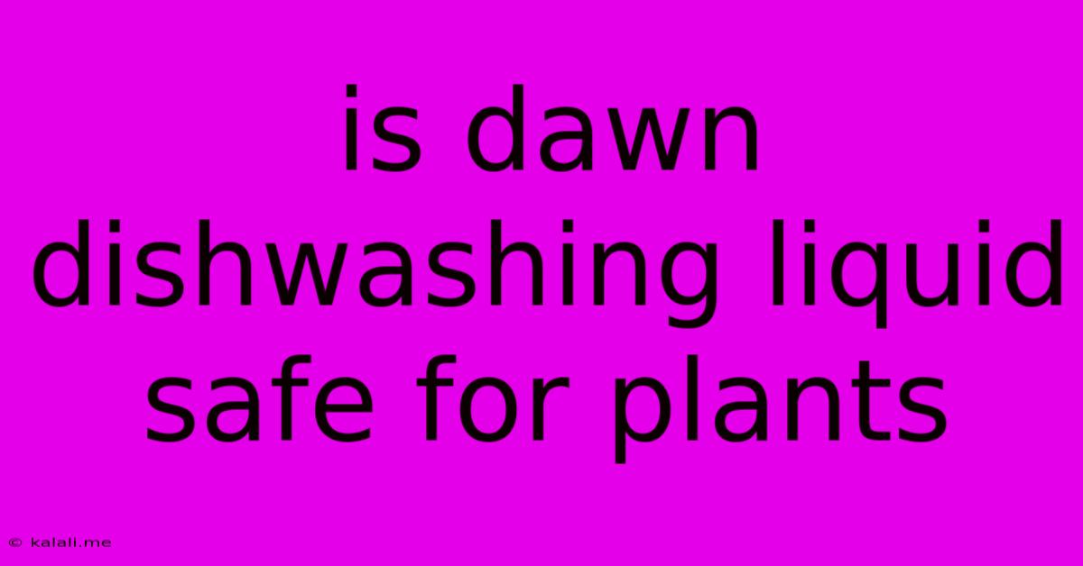 Is Dawn Dishwashing Liquid Safe For Plants