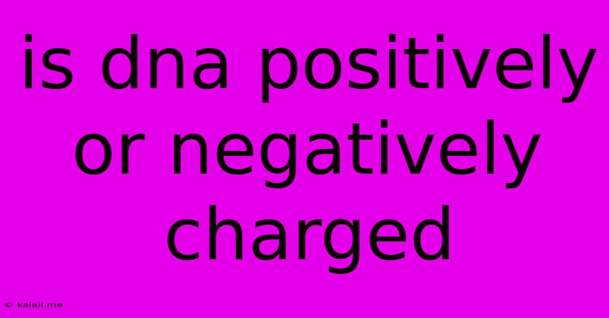 Is Dna Positively Or Negatively Charged