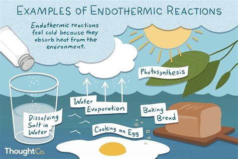 Is Evaporation An Exothermic Or Endothermic Process