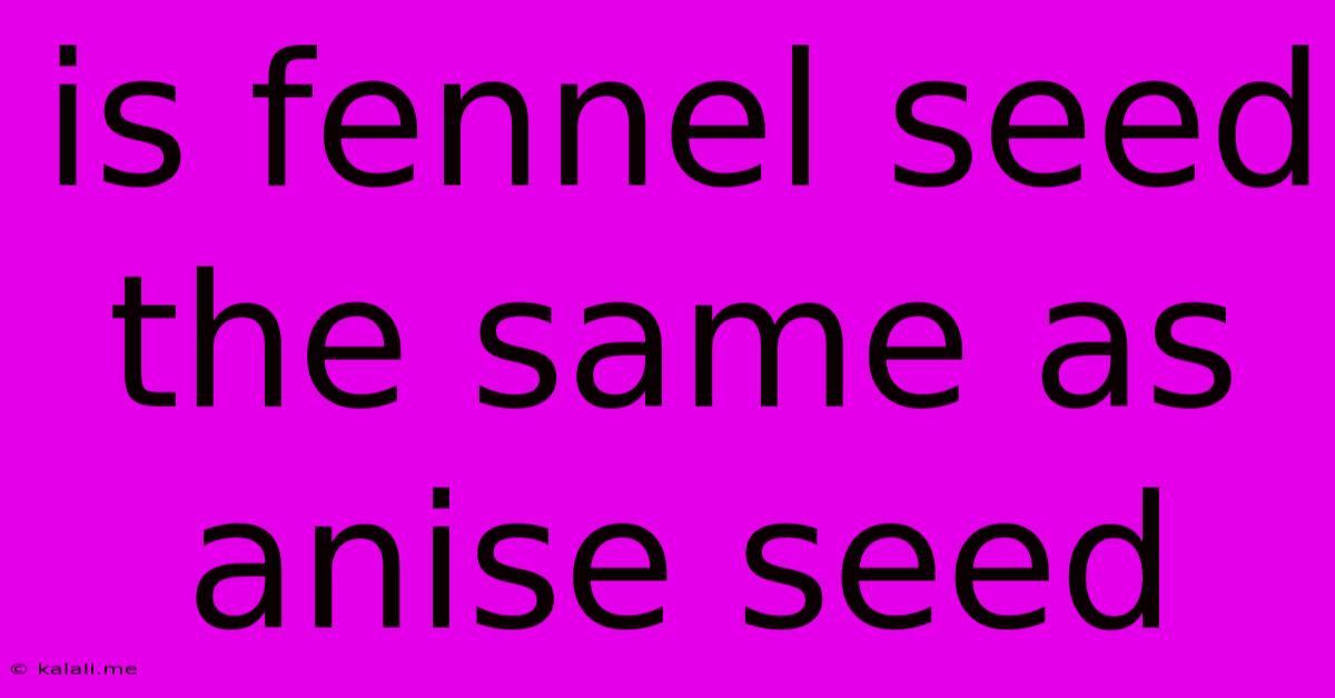 Is Fennel Seed The Same As Anise Seed