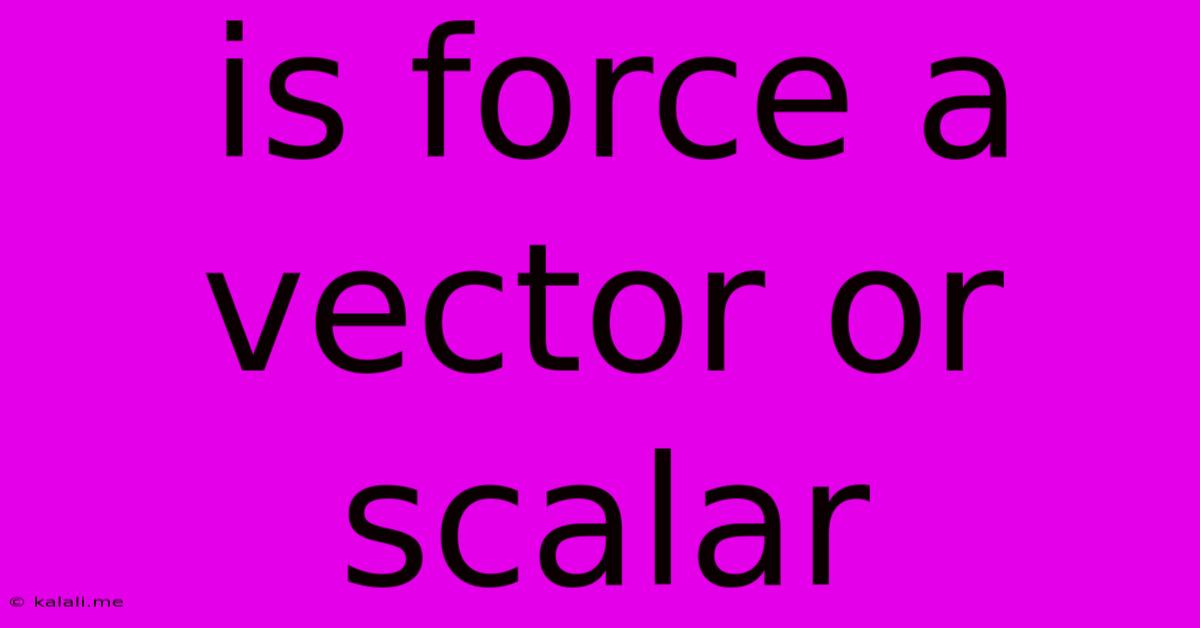 Is Force A Vector Or Scalar