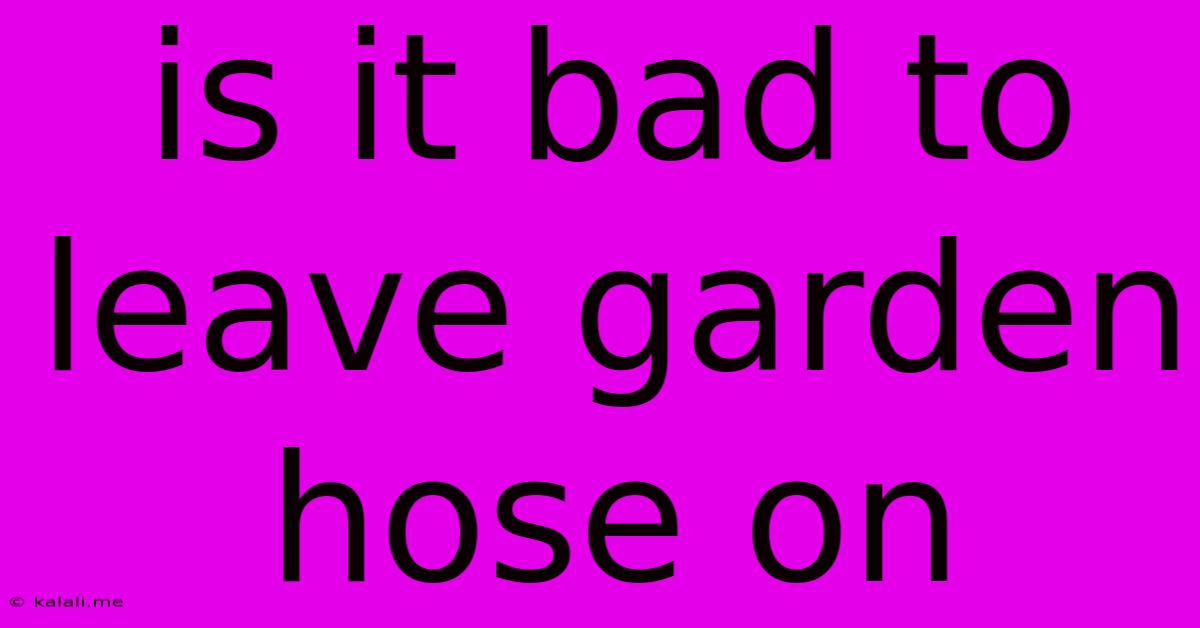 Is It Bad To Leave Garden Hose On
