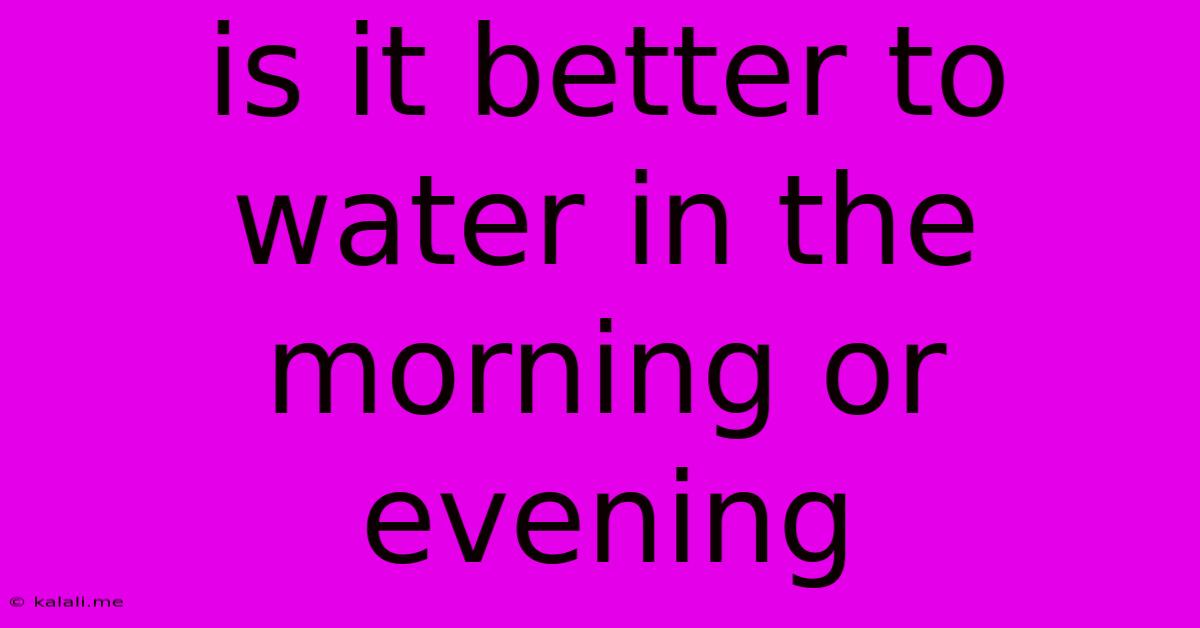 Is It Better To Water In The Morning Or Evening