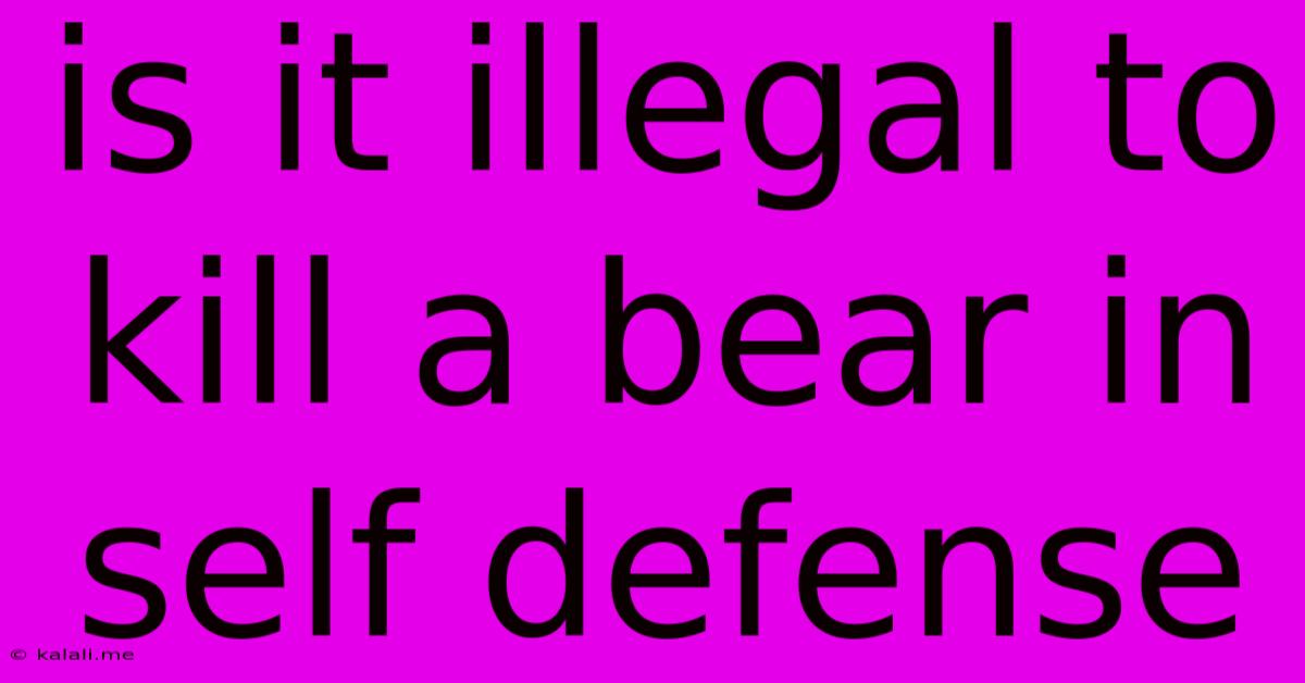 Is It Illegal To Kill A Bear In Self Defense