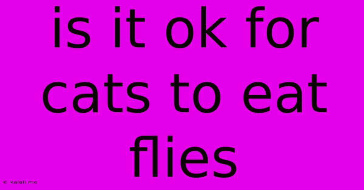 Is It Ok For Cats To Eat Flies