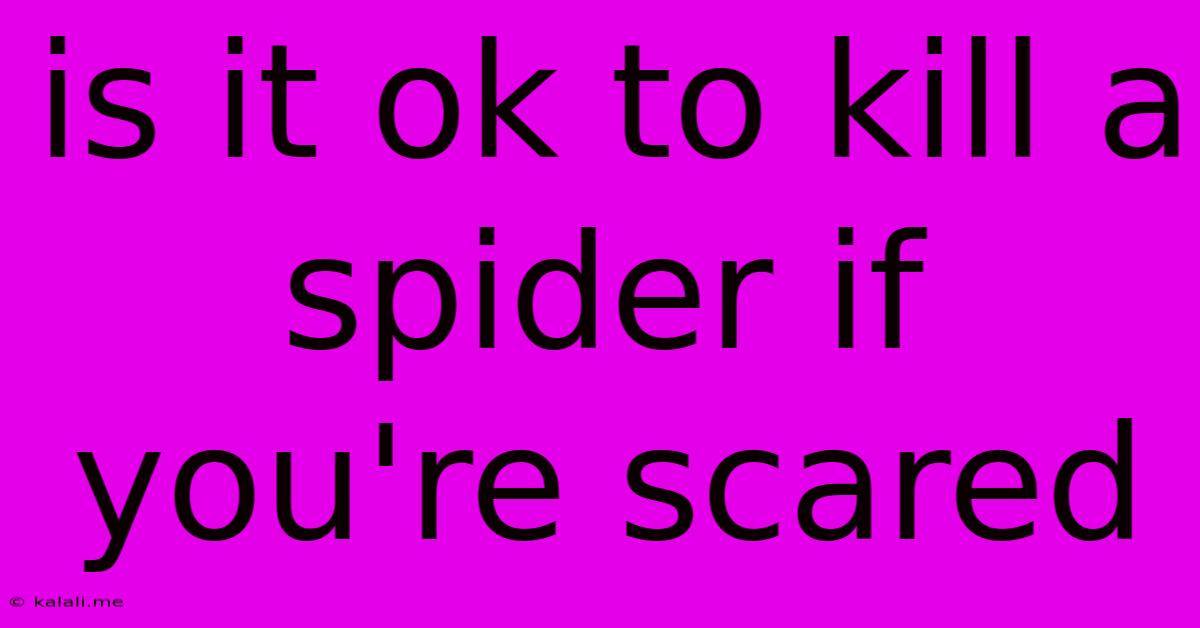 Is It Ok To Kill A Spider If You're Scared