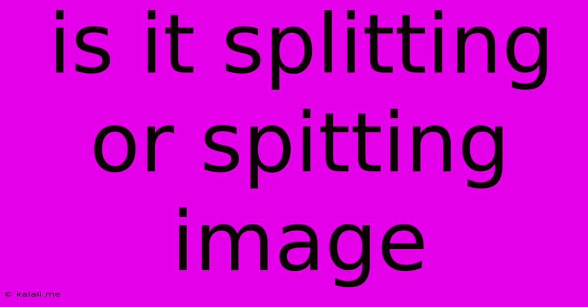Is It Splitting Or Spitting Image