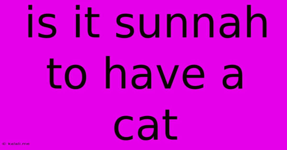 Is It Sunnah To Have A Cat