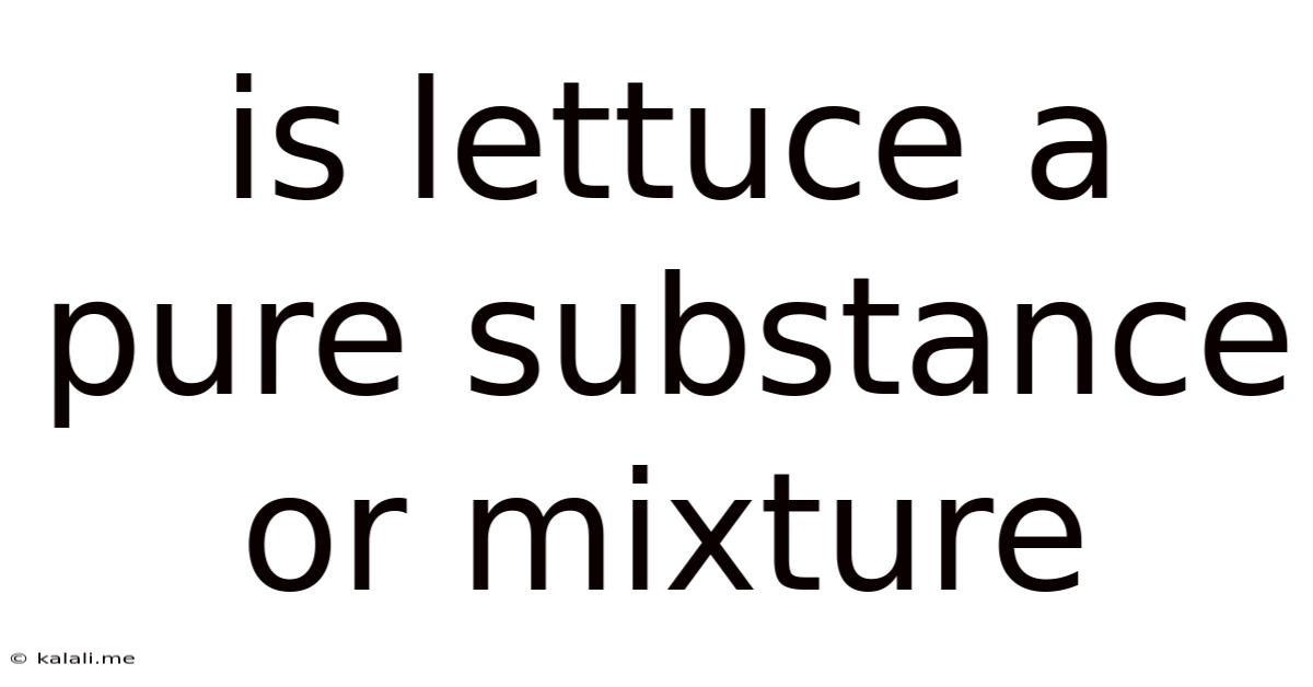 Is Lettuce A Pure Substance Or Mixture