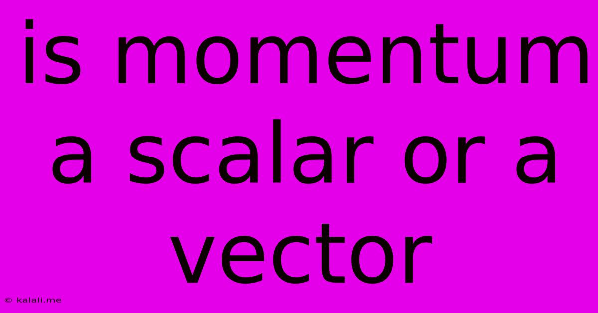 Is Momentum A Scalar Or A Vector