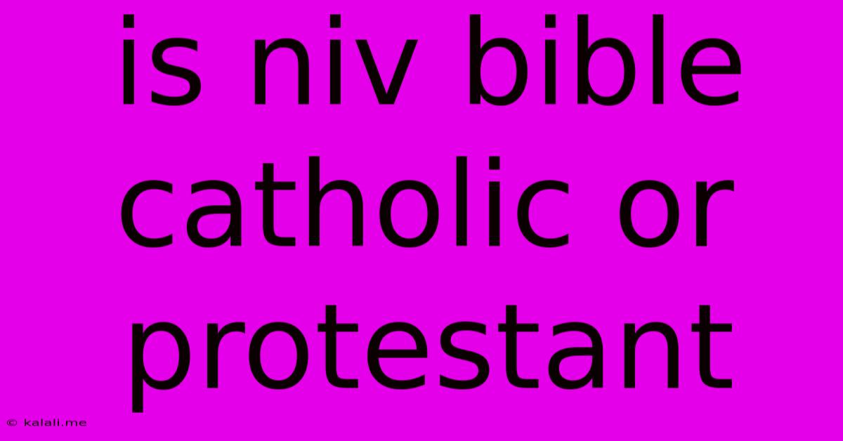 Is Niv Bible Catholic Or Protestant