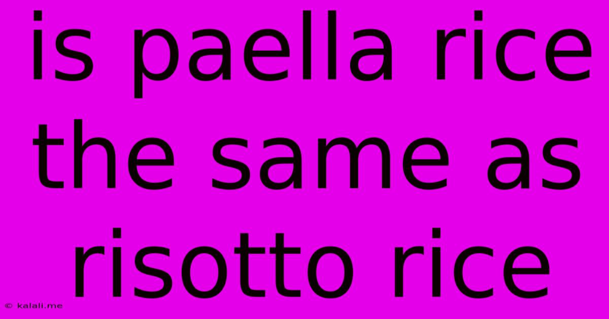 Is Paella Rice The Same As Risotto Rice