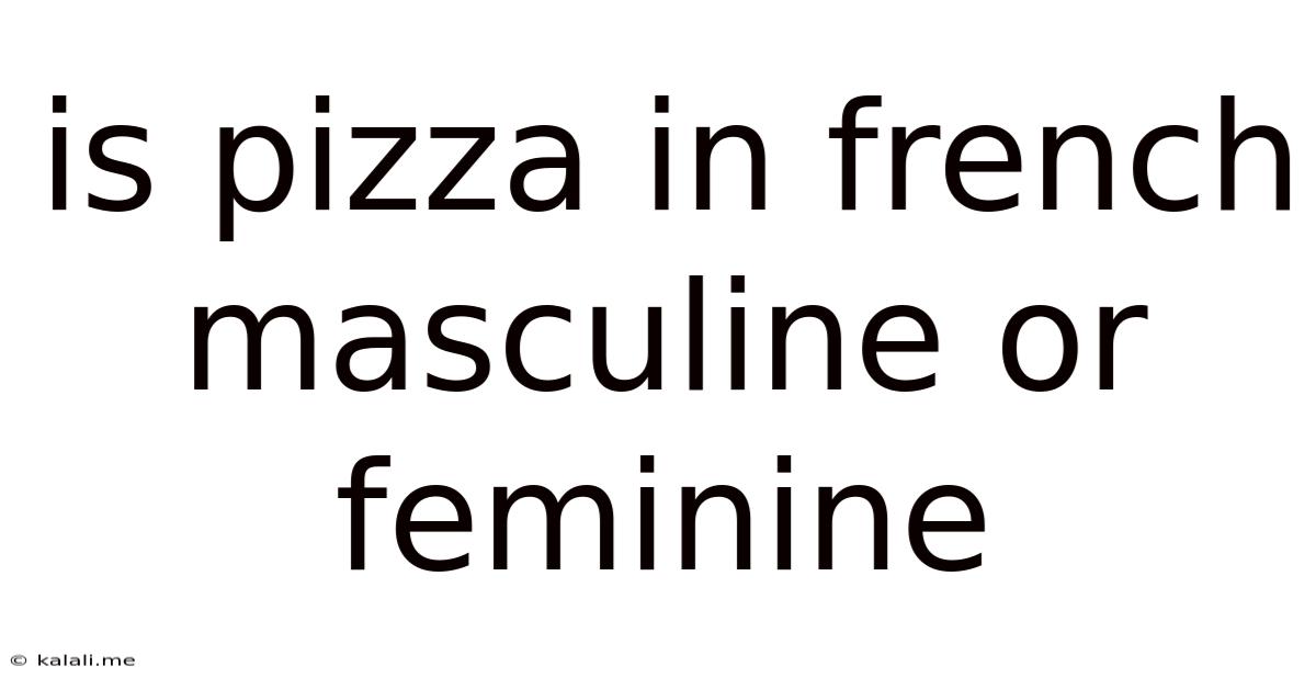 Is Pizza In French Masculine Or Feminine