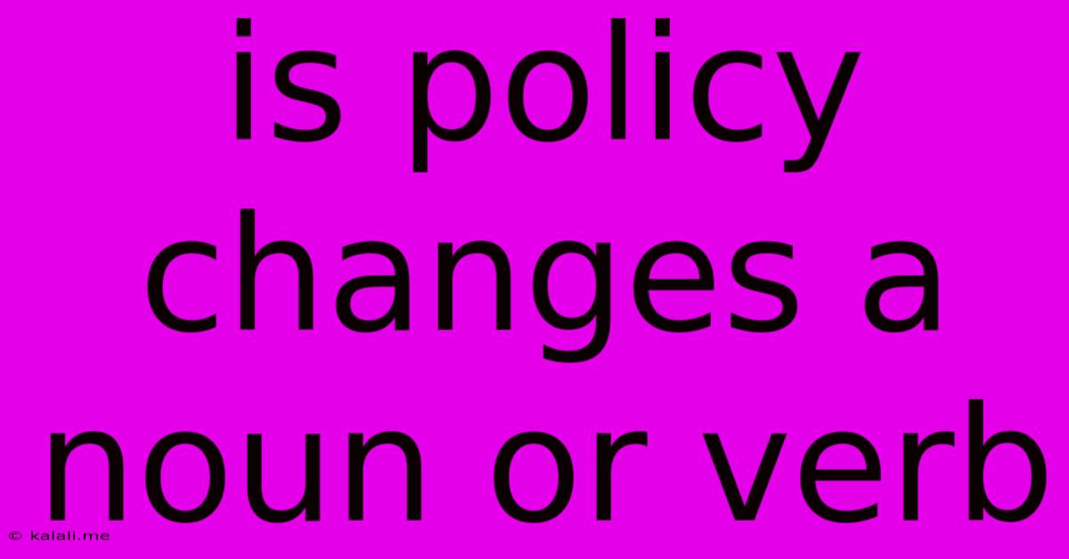 Is Policy Changes A Noun Or Verb
