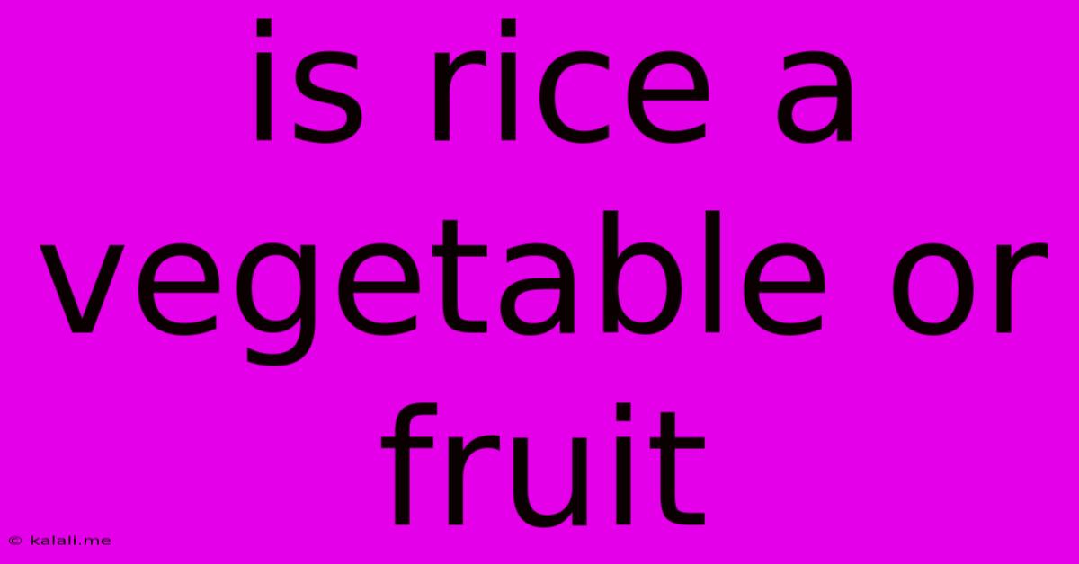 Is Rice A Vegetable Or Fruit