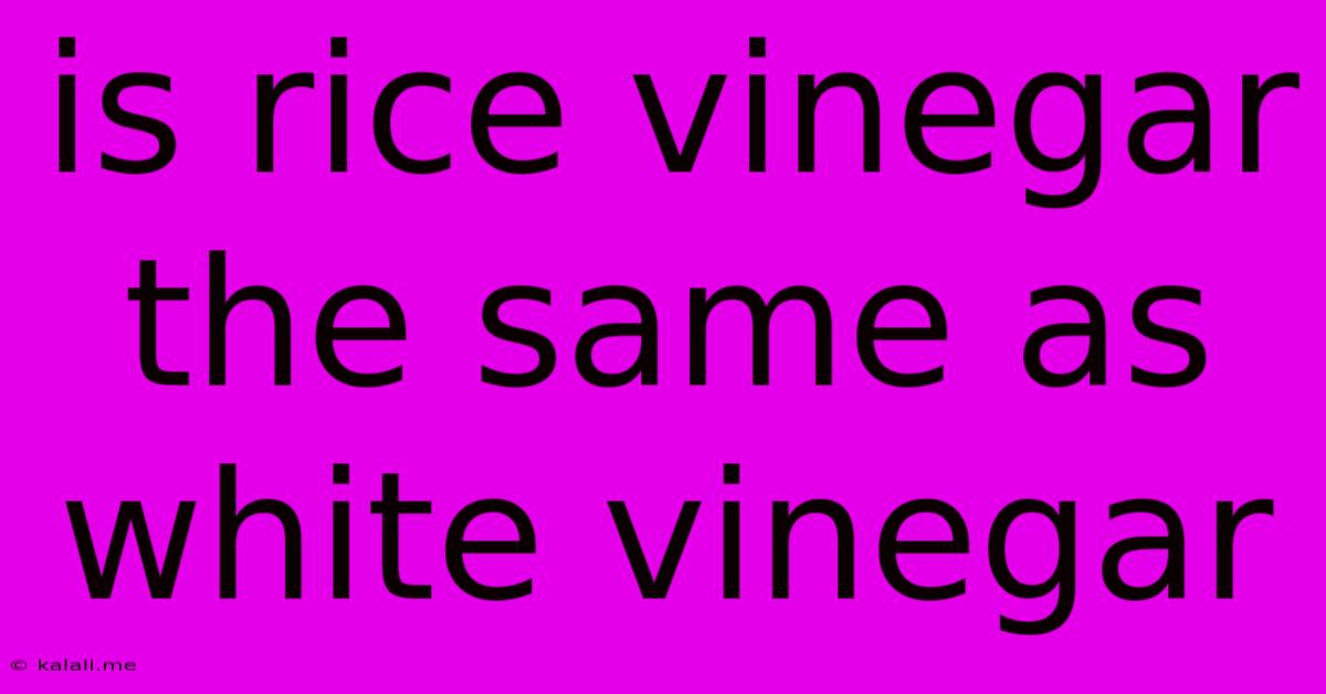 Is Rice Vinegar The Same As White Vinegar