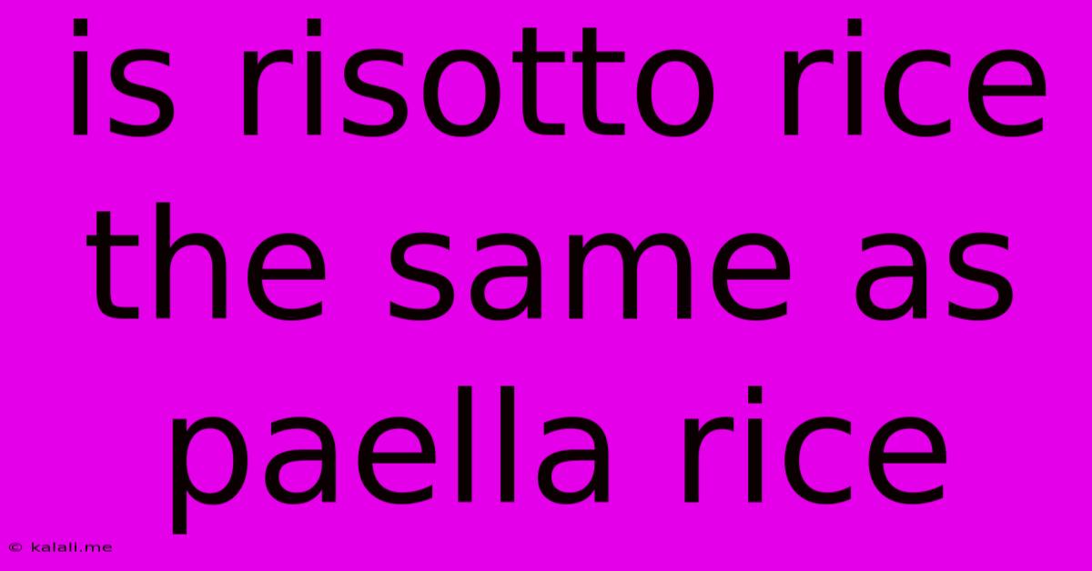 Is Risotto Rice The Same As Paella Rice