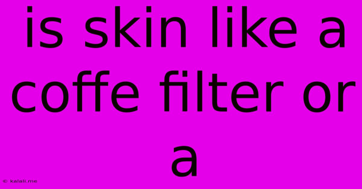 Is Skin Like A Coffe Filter Or A