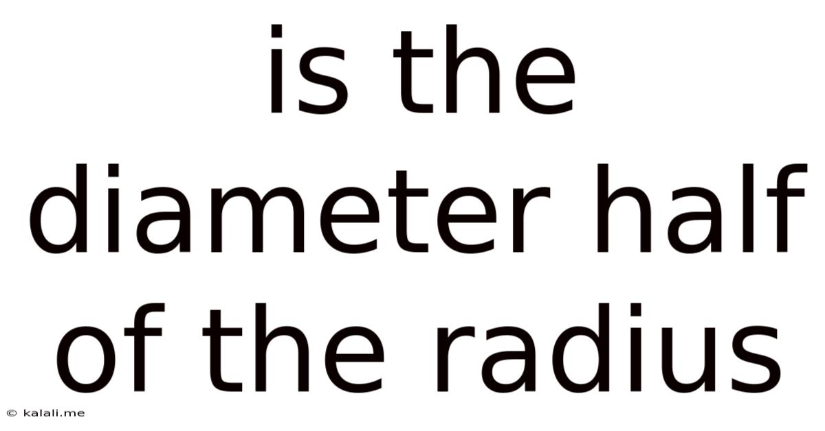Is The Diameter Half Of The Radius