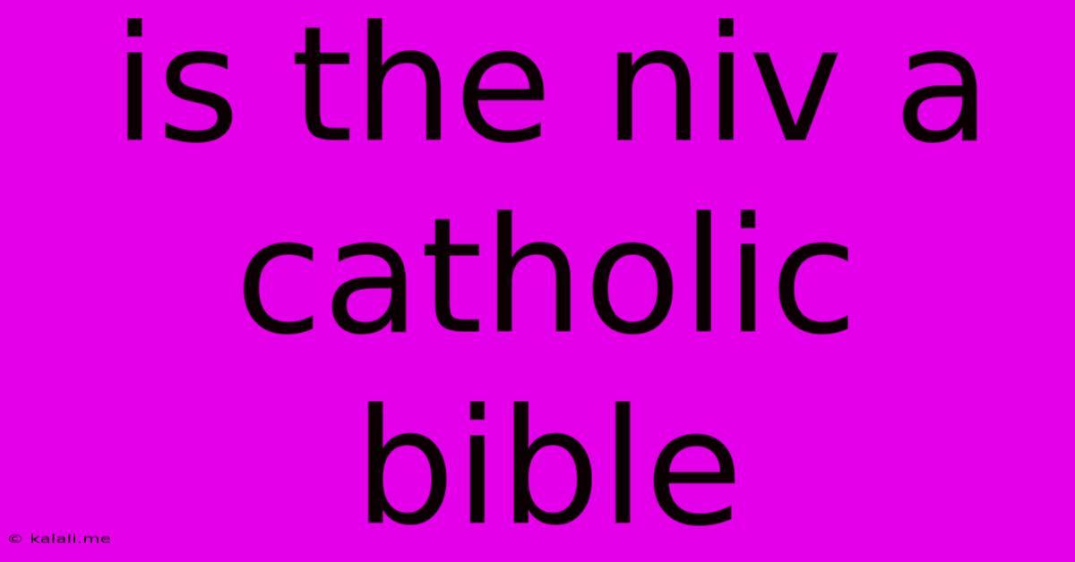 Is The Niv A Catholic Bible