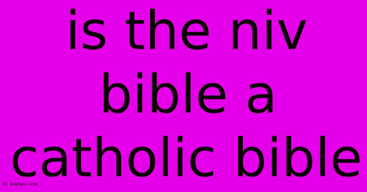 Is The Niv Bible A Catholic Bible