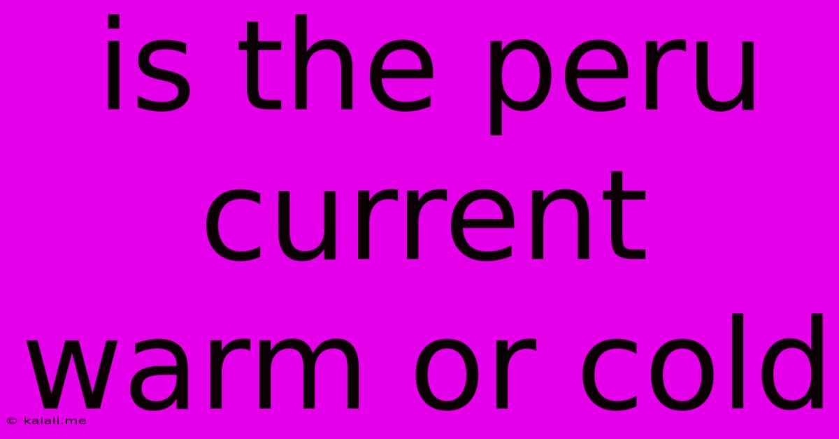 Is The Peru Current Warm Or Cold