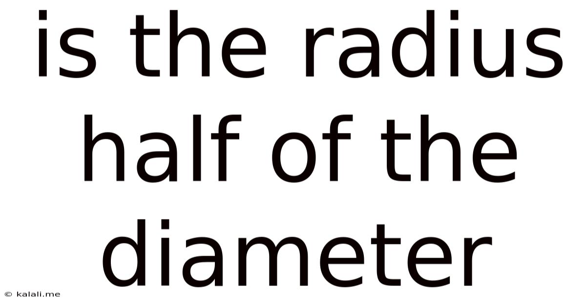 Is The Radius Half Of The Diameter
