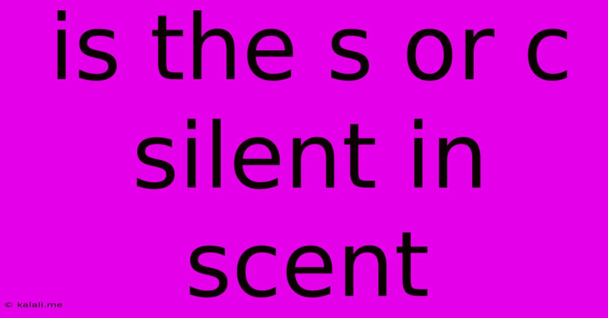 Is The S Or C Silent In Scent
