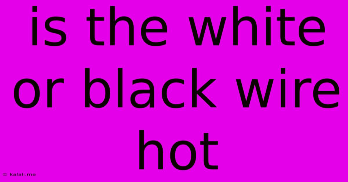 Is The White Or Black Wire Hot