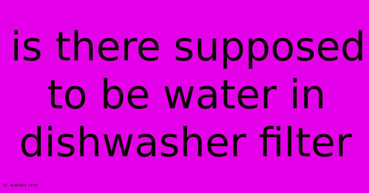 Is There Supposed To Be Water In Dishwasher Filter
