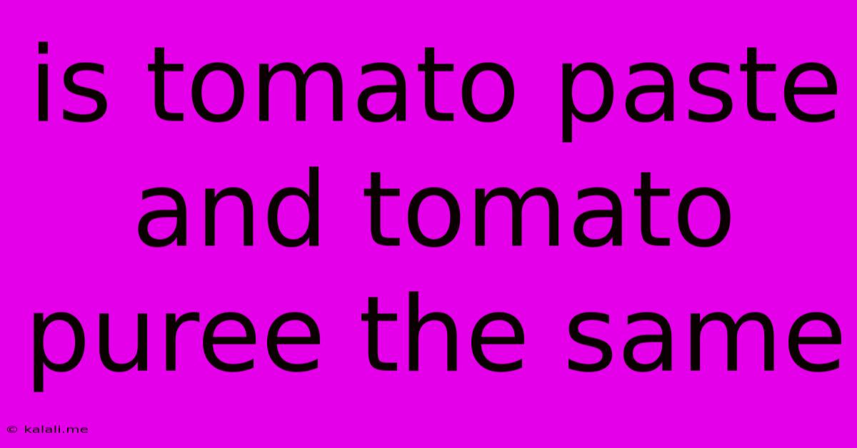 Is Tomato Paste And Tomato Puree The Same