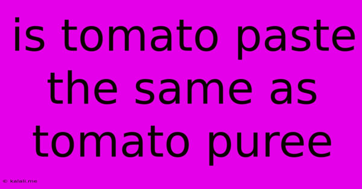 Is Tomato Paste The Same As Tomato Puree