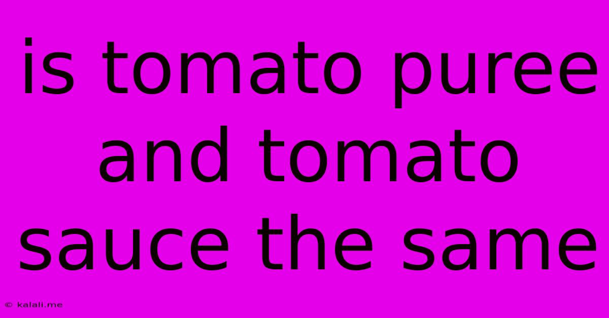 Is Tomato Puree And Tomato Sauce The Same