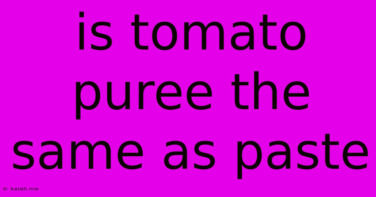 Is Tomato Puree The Same As Paste