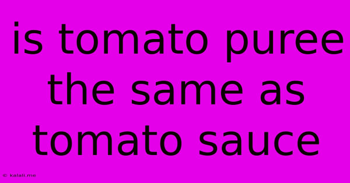 Is Tomato Puree The Same As Tomato Sauce