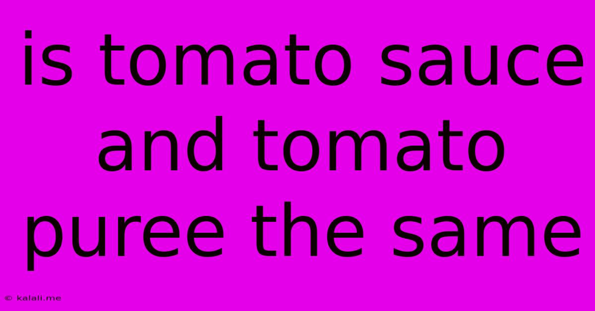 Is Tomato Sauce And Tomato Puree The Same