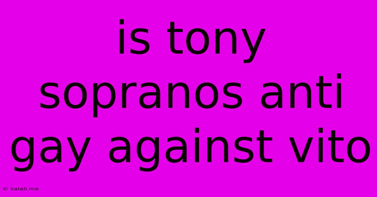Is Tony Sopranos Anti Gay Against Vito