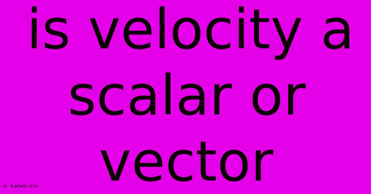 Is Velocity A Scalar Or Vector