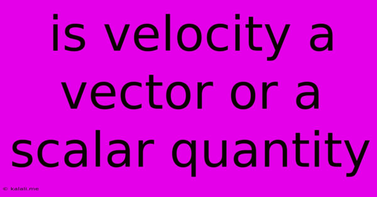 Is Velocity A Vector Or A Scalar Quantity